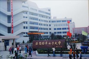 西安培华女子大学综合防雷工程